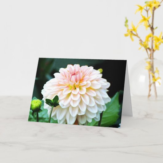 Pink Dahlia Grußkarte Karte (Gelbe Blume)