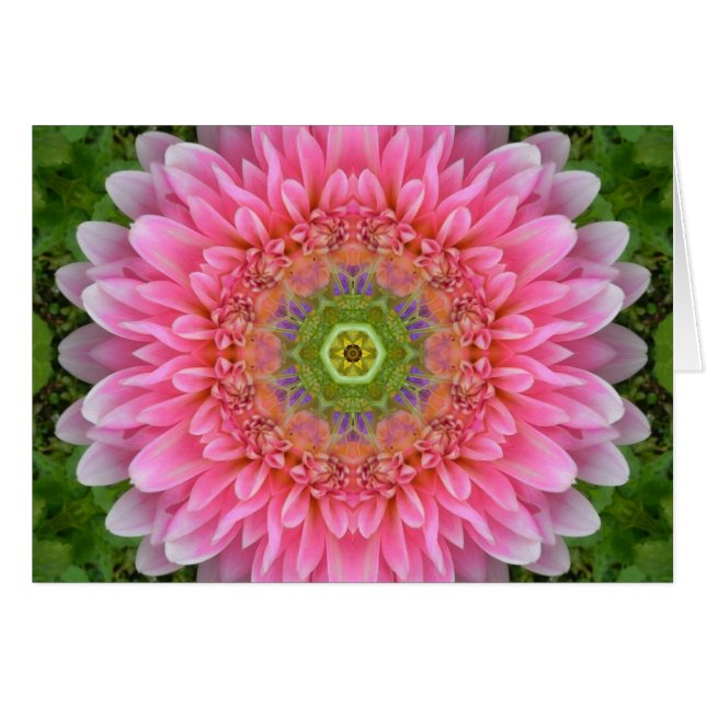 Pink Dahlia Healing Mandala (Vorderseite (Horizontal))
