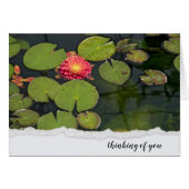 Pink Dahlia in Lily Pads (Vorderseite (Horizontal))