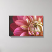Pink Dahlia Leinwanddruck (Vorderseite)