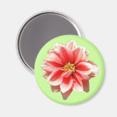 Pink Dahlia Magnet (Vorderseite/Rückseite)