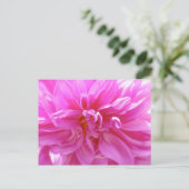 Pink Dahlia Postkarte (Stehend Vorderseite)
