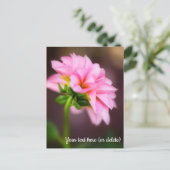 Pink Dahlia Postkarte (Stehend Vorderseite)