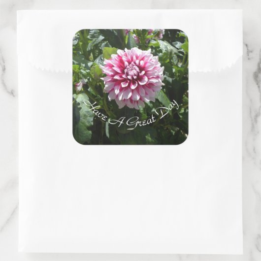 Pink Dahlia Quadratischer Aufkleber (Tasche)