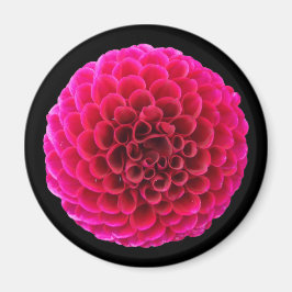 Pink Dahlia Round Kühlschrankmagnet Blumengeschenk