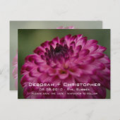 Pink Dahlia Save the Date Postkarte (Vorne/Hinten)