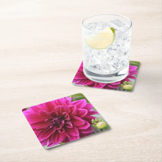 Pink Dahlia Untersetzer (Vor Ort)