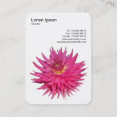 Pink Dahlia Visitenkarte (Rückseite)