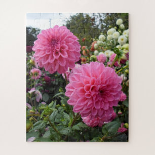 Pink Dahlias Puzzle