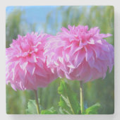 PINK DAHLIAS STEINUNTERSETZER (Vorderseite)