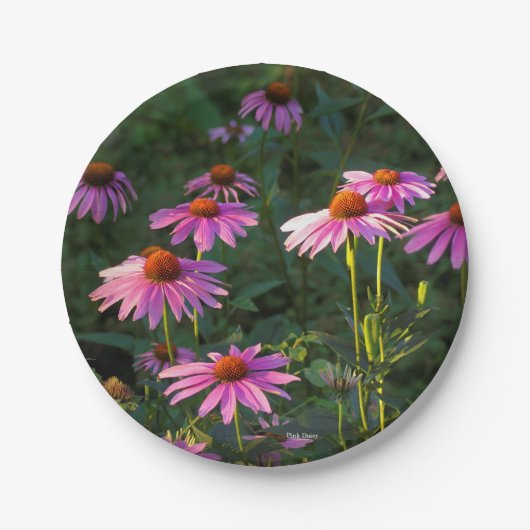 Pink Daises Papierplatte Pappteller (Vorderseite)