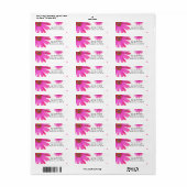 Pink Daisies Floral Daisy Rustikale Party Einladun (Vorne)