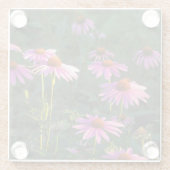 Pink Daisies Glas Untersetzer (Rückseite)