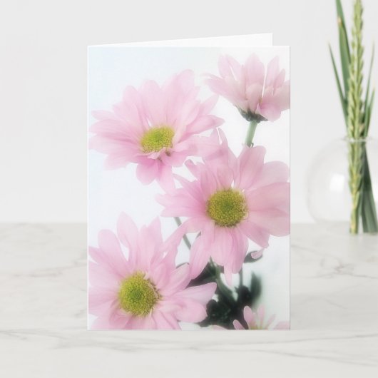 Pink Daisies Karte (Vorderseite)