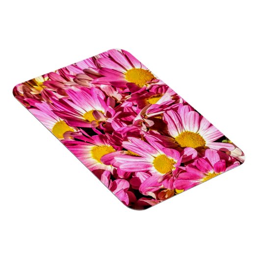 Pink Daisies Magnet (Rechte Seite)