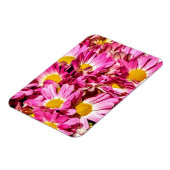 Pink Daisies Magnet (Linke Seite)