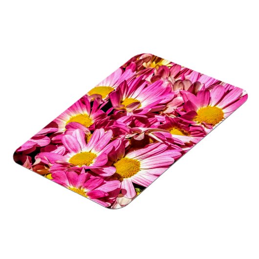 Pink Daisies Magnet (Linke Seite)