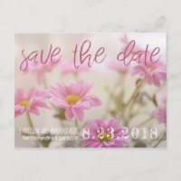 Pink Daisies Save the Date Card Romantische Blume