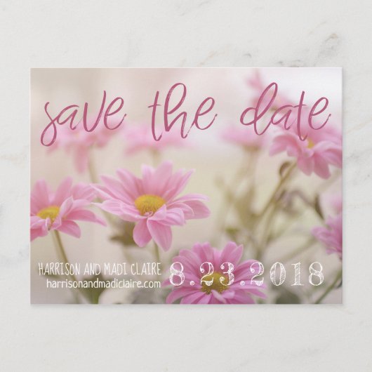 Pink Daisies Save the Date Card Romantische Blume Ankündigungspostkarte (Vorderseite)