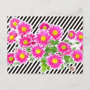 Pink Daisis / Asters Bouquet & Strips + Ihre Idee Postkarte