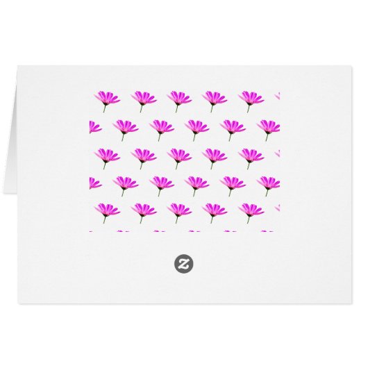 Pink Daisy (Rückseite Horizontal)