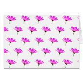 Pink Daisy (Vorderseite (Horizontal))