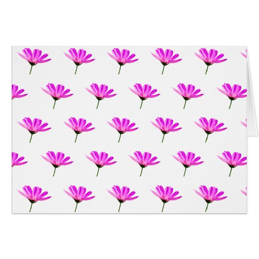 Pink Daisy (Vorderseite (Horizontal))