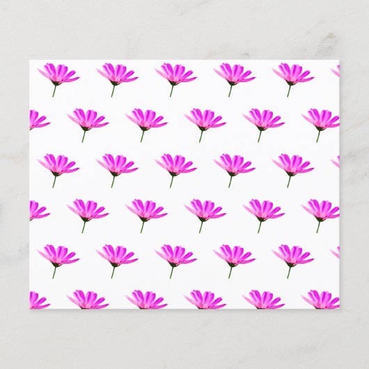 Pink Daisy (Vorderseite)