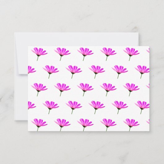 Pink Daisy (Vorderseite)