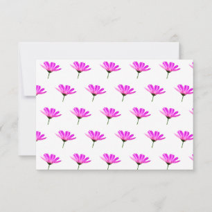 Pink Daisy