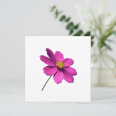 PINK DAISY, BLANK JEDER ANLASS CARD EINLADUNG (Stehend Vorderseite)