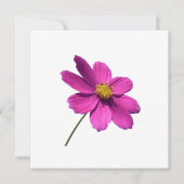 PINK DAISY, BLANK JEDER ANLASS CARD EINLADUNG (Vorderseite)