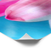 Pink Daisy Blume Bloom Poster (Ecke)