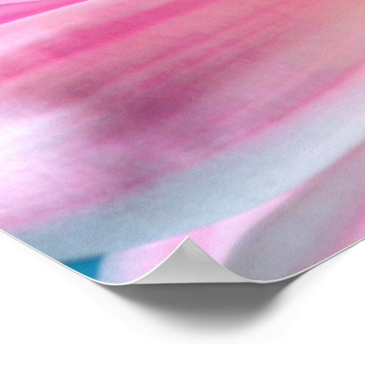 Pink Daisy Blume Bloom Poster (Ecke)