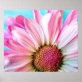 Pink Daisy Blume Bloom Poster (Vorne)