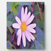 Pink Daisy Blume Fotoplatte (Vorderseite)