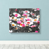 Pink Daisy Blume Leinwanddruck (Insitu (Holzboden))