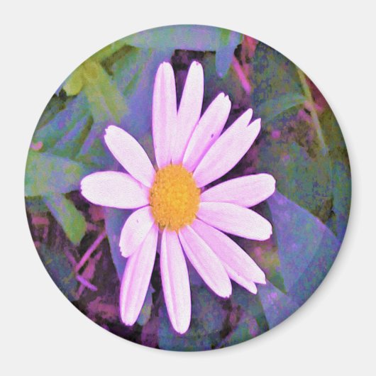 Pink Daisy Blume Magnet (Vorne)