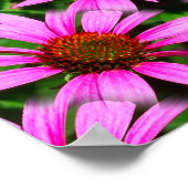 Pink Daisy Blume Mirror Abstrakt Poster (Ecke)