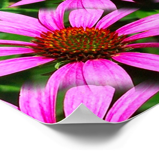 Pink Daisy Blume Mirror Abstrakt Poster (Ecke)
