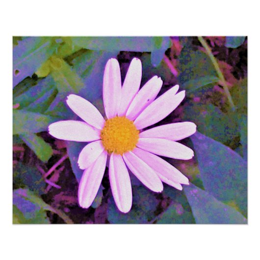 Pink Daisy Blume Poster (Vorderseite)