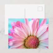 Pink Daisy Blume Postkarte (Vorne/Hinten)
