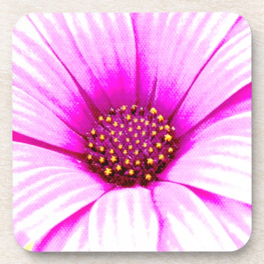 Pink Daisy Blume Untersetzer (Vorderseite)