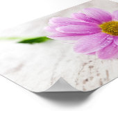 Pink Daisy Blume Value Poster (Ecke)