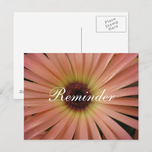 Pink Daisy Erinnerung Postkarte (Vorne/Hinten)