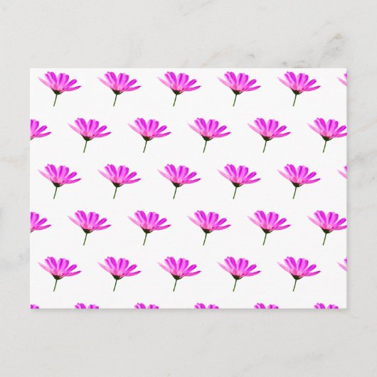 Pink Daisy Feiertagspostkarte (Vorderseite)
