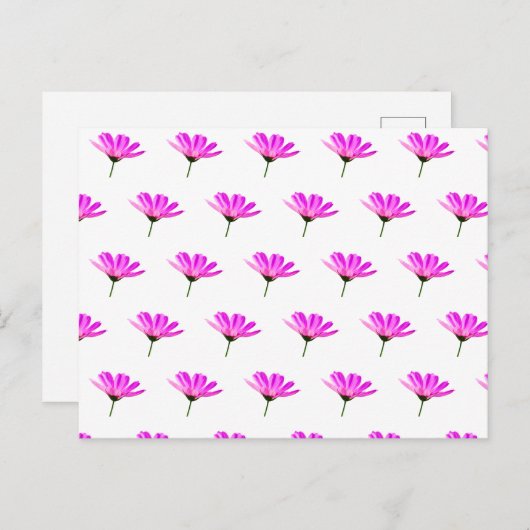 Pink Daisy Feiertagspostkarte (Vorne/Hinten)