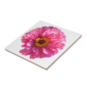 Pink Daisy Fliese (Seite)