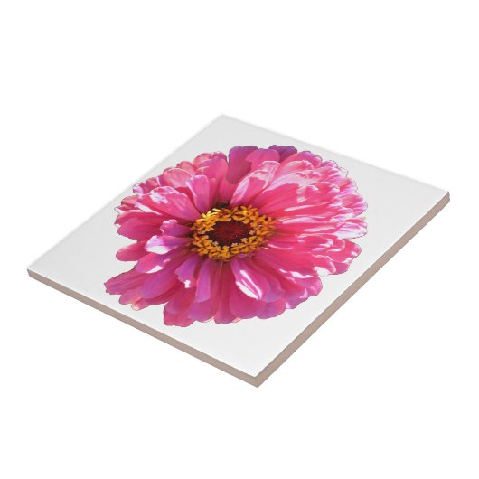 Pink Daisy Fliese (Seite)