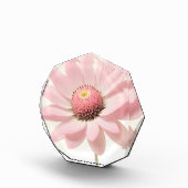 Pink Daisy Floral Design Fotoblock (Rechts)